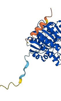 ARG2 3D structure