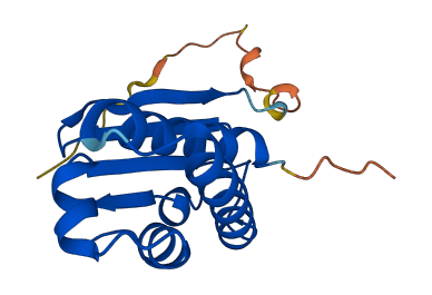BTG2 3D structure