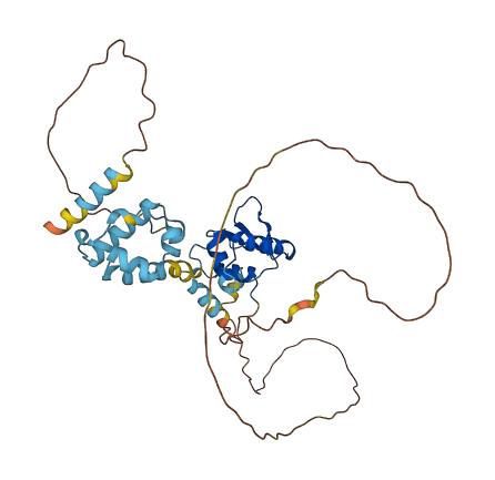 ELF3 3D structure