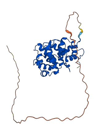 NTHL1 3D structure