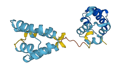 CRADD 3D structure