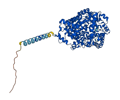 PHEX 3D structure