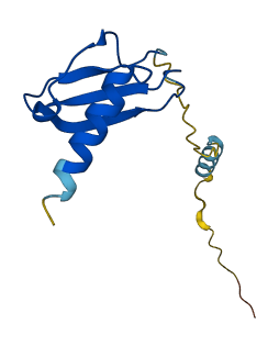 CXCL6 3D structure
