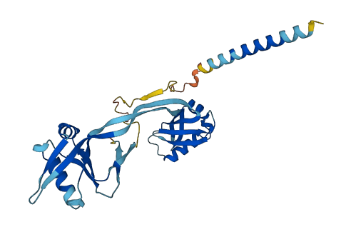 IFI35 3D structure
