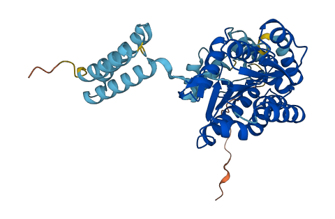 HSD11B2 3D structure