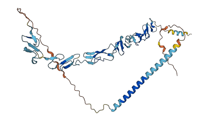 DLK1 3D structure