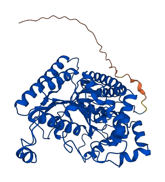 ABAT 3D structure