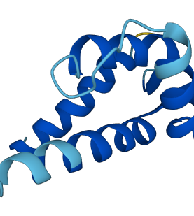 S100A12 3D structure