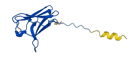 IGLV3-21 3D structure