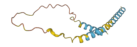 DCD 3D structure