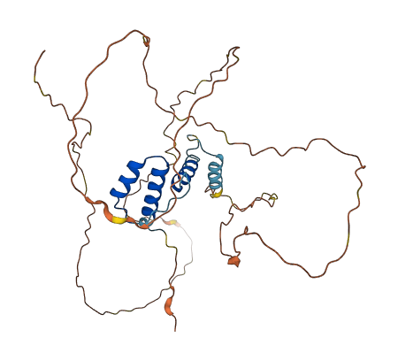 SSBP2 3D structure