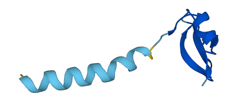 Defb4 3D structure