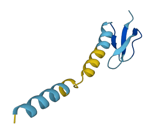 Defb2 3D structure