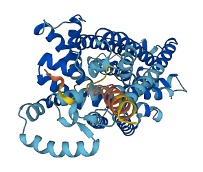 SLC7A9 3D structure