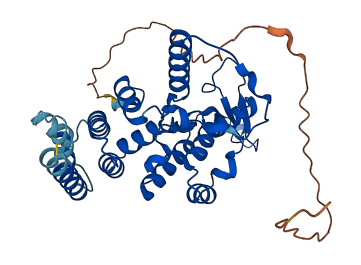 MRPS22 3D structure