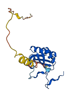 MRPS11 3D structure