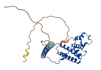 MRPS15 3D structure