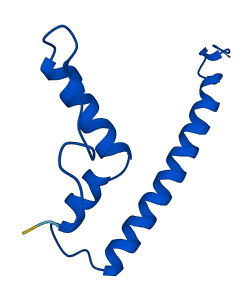 MRPS21 3D structure