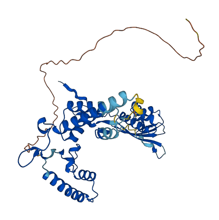MRPS9 3D structure