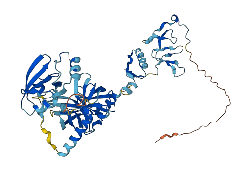HTRA4 3D structure