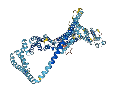 COG7 3D structure