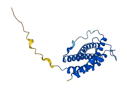 Ctf2 3D structure