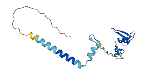 RPL24 3D structure