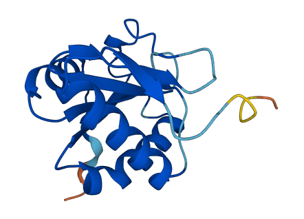 TXNL4A 3D structure