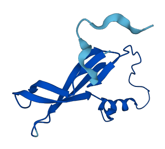 RPL36A 3D structure
