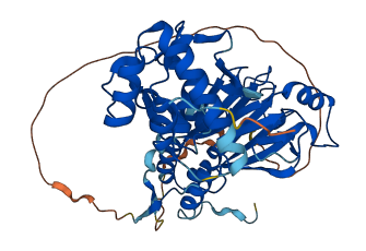 SMAD3 3D structure