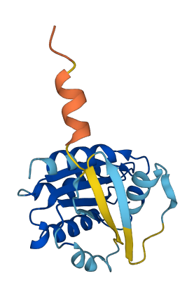 ARF5 3D structure