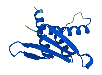 ERH 3D structure