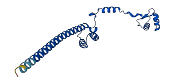 RPL19 3D structure