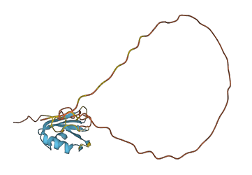 SRSF3 3D structure