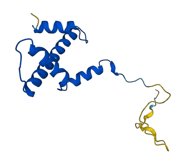 Hist1h3b 3D structure