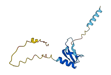 Ccl21a 3D structure