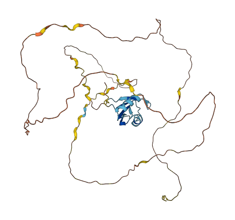 Rbmxrtl 3D structure