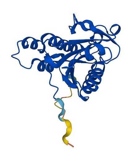 Isoc2a 3D structure