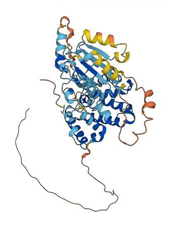ARHGAP8 3D structure