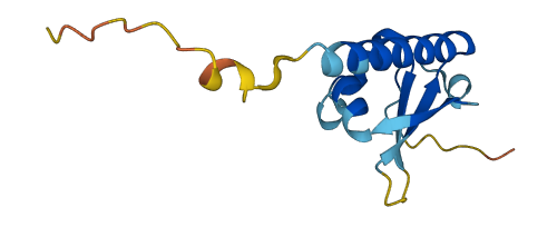 Dppa5b 3D structure