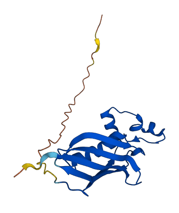 HTD2 3D structure