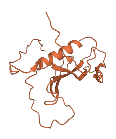 ADORA2A-AS1 3D structure