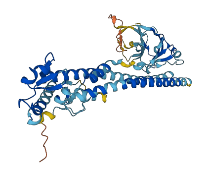 Trim43c 3D structure