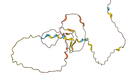 PRR20C 3D structure