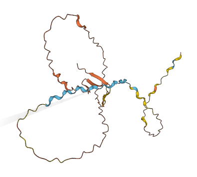 PRR20B 3D structure