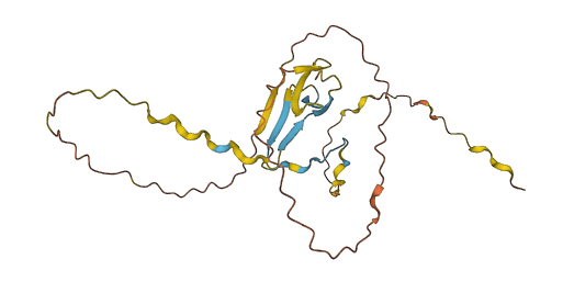 PRR20A 3D structure