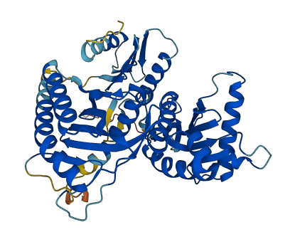 CCZ1B 3D structure