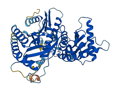 CCZ1 3D structure