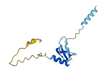 Ccl21b 3D structure