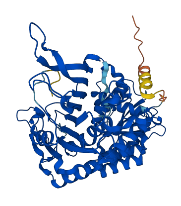 G6pd2 3D structure